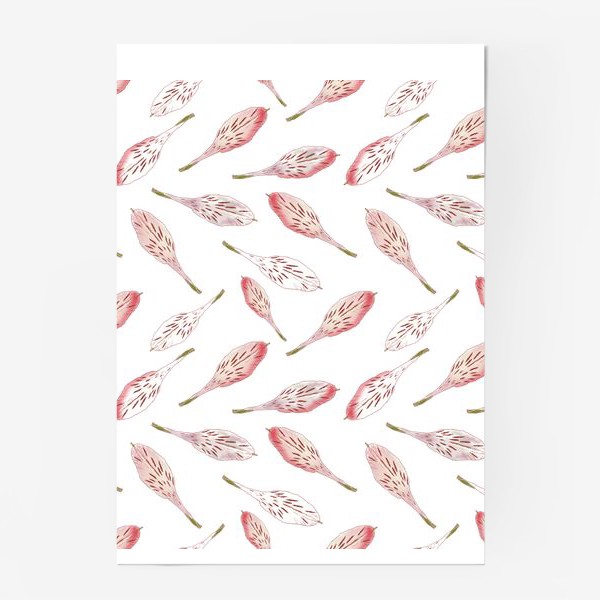 Постер «Alstroemeria petals. Розовые лепестки цветка Альстромерия»