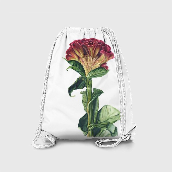 Рюкзак «Цветок целозия»