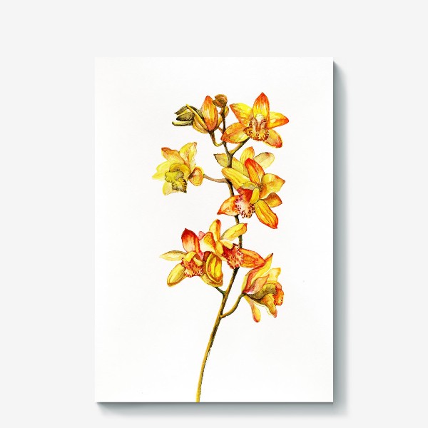 Холст &laquo;желтая орхидея&raquo;