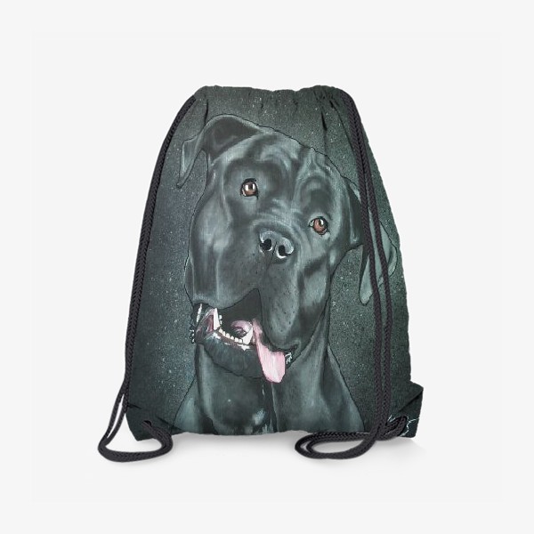 Рюкзак «Чёрный пёс.»