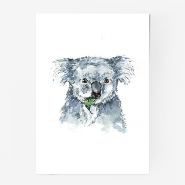 Постер «Милая коала»