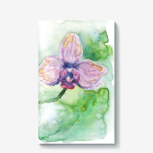 Холст «Акварельный цветок орхидеи»