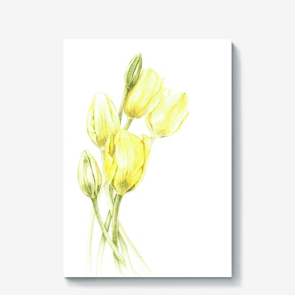 Холст «Желтые тюльпаны»
