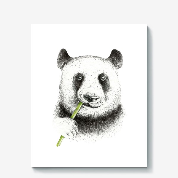 Холст «Я люблю панду»