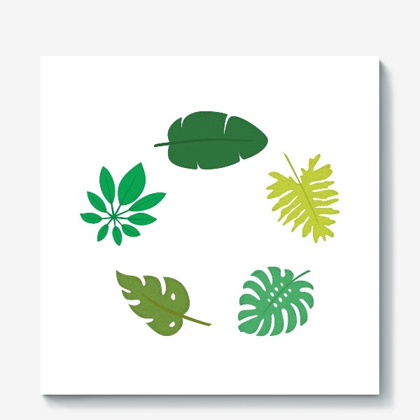 Холст «Тропические листья»