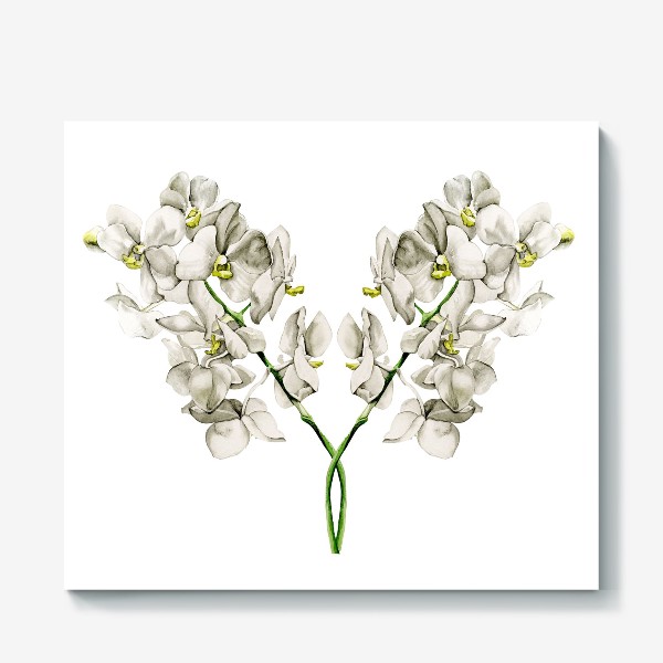 Холст «белая орхидея»