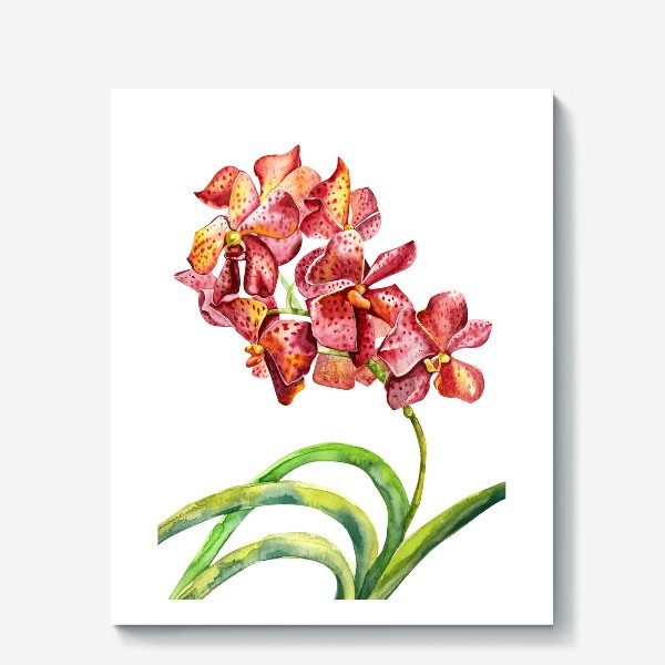 Холст &laquo;красная орхидея&raquo;