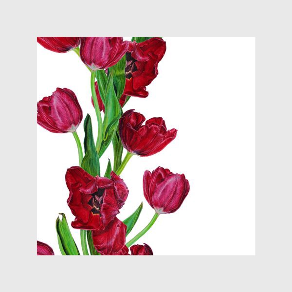 Шторы «Красные тюльпаны»