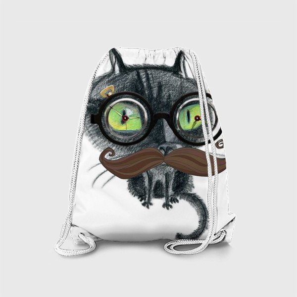 Рюкзак «Сумасшедший профессор-кот»