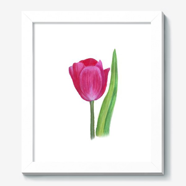 Картина «розовый тюльпан»