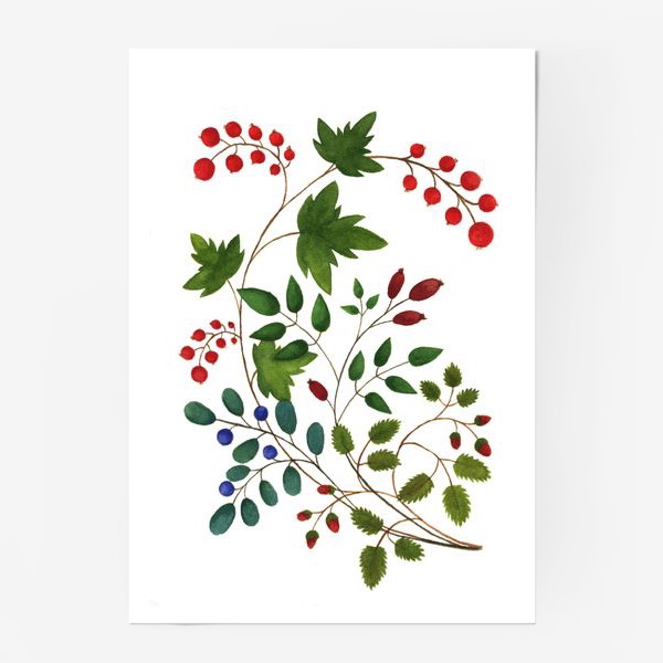 Постер «Лесные ягоды»