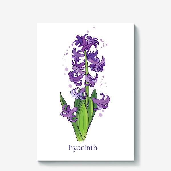 Холст «фиолетовый гиацинт»