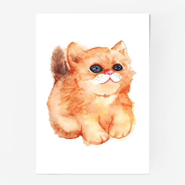 Постер «Акварельный рыжий пушистый кот с большими глазами»
