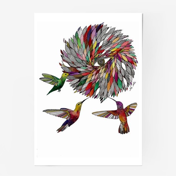 Постер «Птицы Колибри»