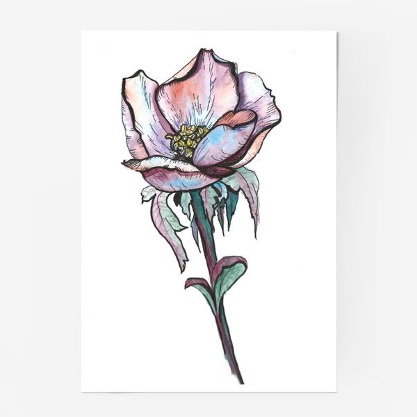 Постер «Цветок Шиповника»