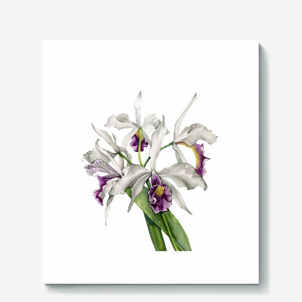 Холст «орхидейка»