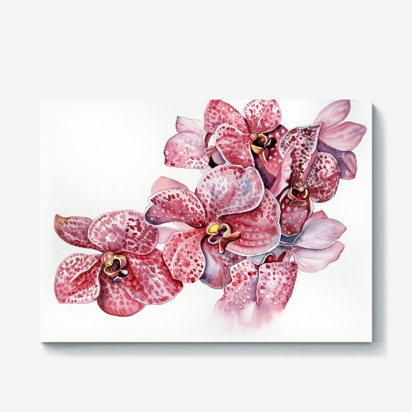 Холст «орхидейка красная»