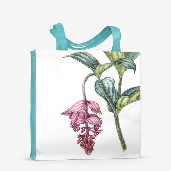 Сумка-шоппер «Мединилла тропический цветок розовые грозди»