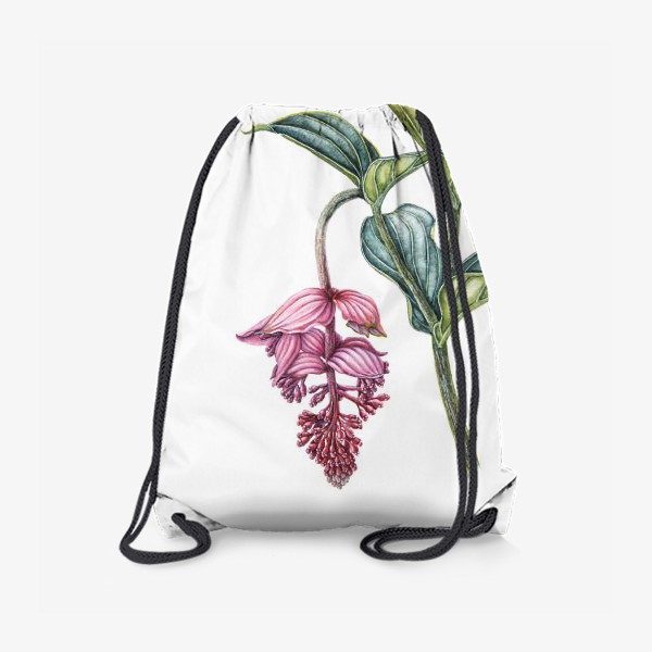 Рюкзак «Мединилла тропический цветок розовые грозди»