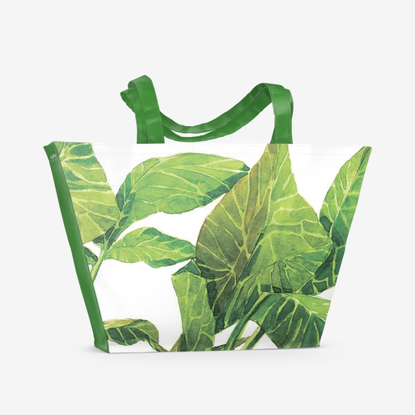 Пляжная сумка «Кольраби с фермы: акварельный принт. Ботаническая иллюстрация»