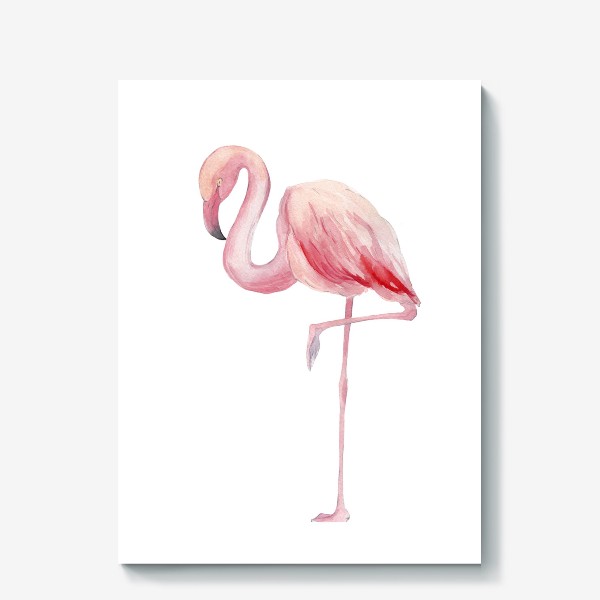 Холст «Фламинго»