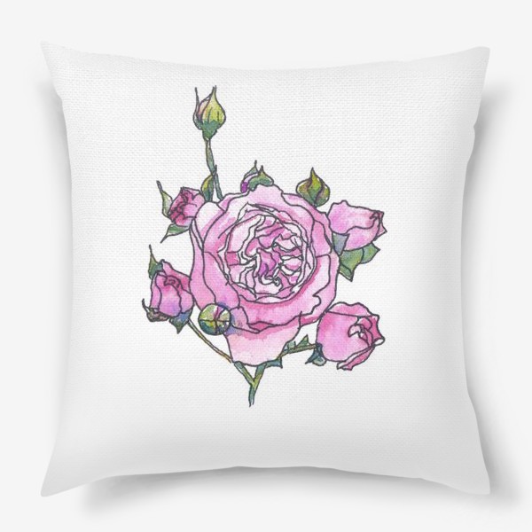 Подушка &laquo;Розовая английская роза Остина, ботанический скетч, акварель&raquo;