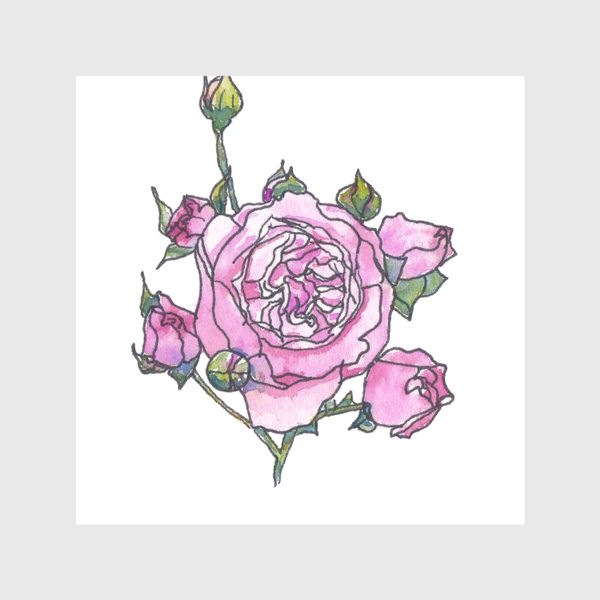 Скатерть &laquo;Розовая английская роза Остина, ботанический скетч, акварель&raquo;