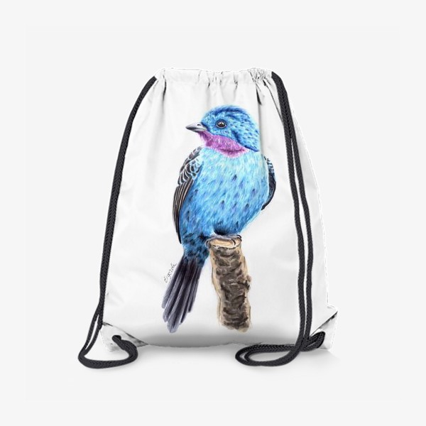 Рюкзак «Птица бирюзовая котинга»