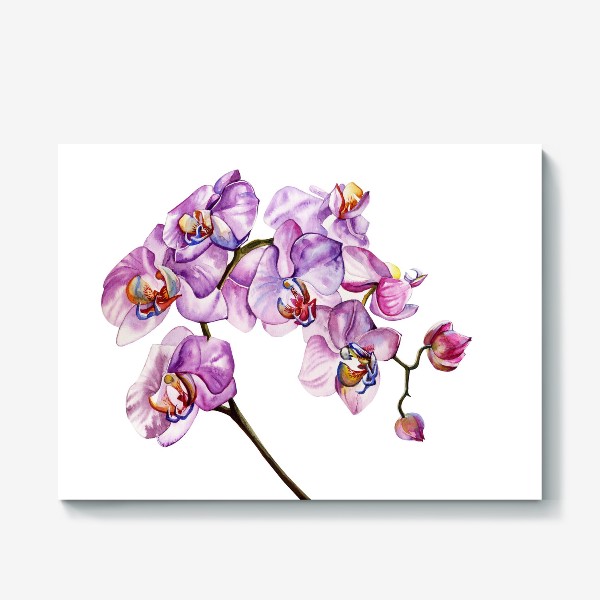 Холст «орхидейка»