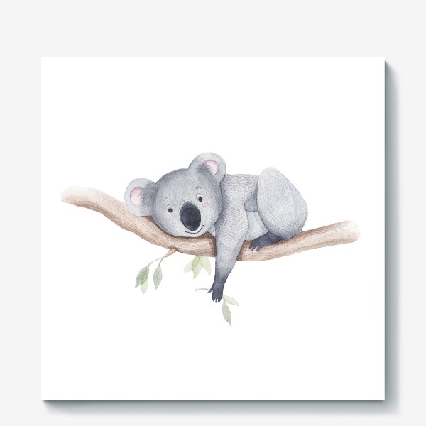 Холст «коала»