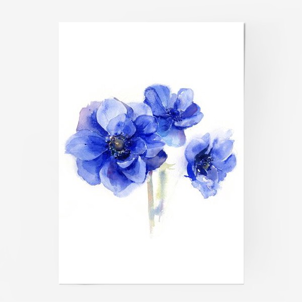 Постер &laquo;Синие цветы Анемоны&raquo;