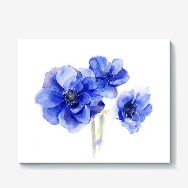 Холст «Синие цветы Анемоны»