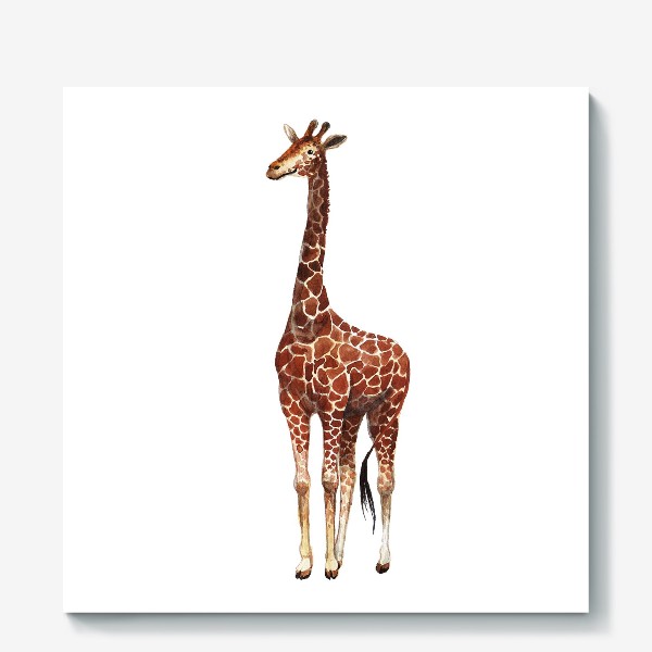 Холст «Cute Giraffe»