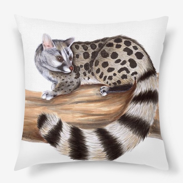 Подушка «Африканская кошка циветта»