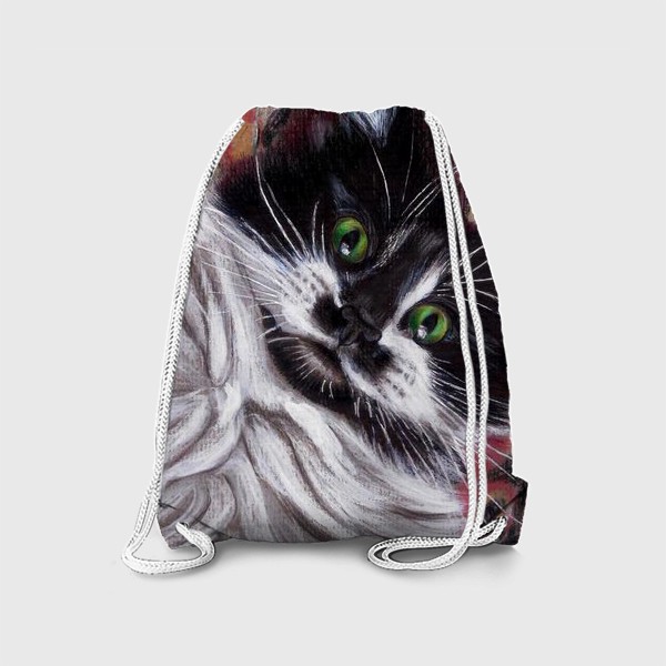 Рюкзак «котик»