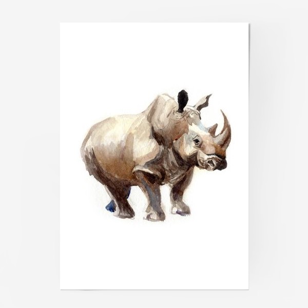Постер «Носорог»
