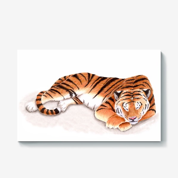 Холст «Спящий тигр»