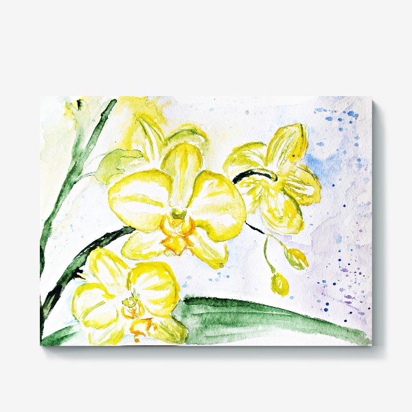 Холст «Лимонная орхидея»