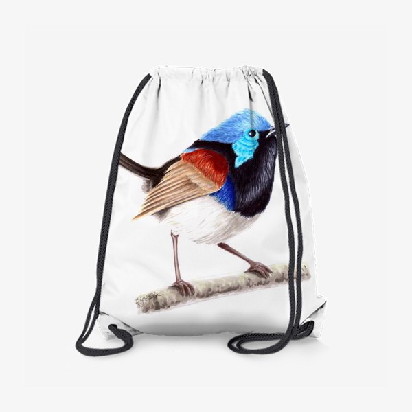 Рюкзак «Птица расписной малюр»