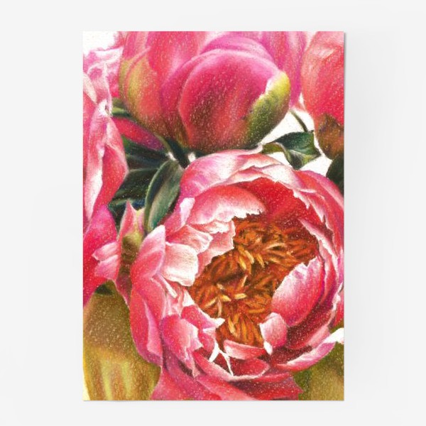 Постер «розовые пионы»