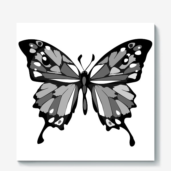 Холст «Серая бабочка»