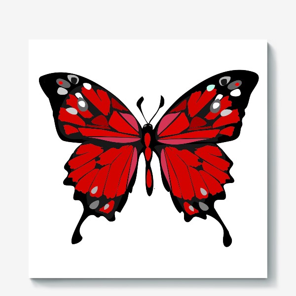 Холст «Красная бабочка»