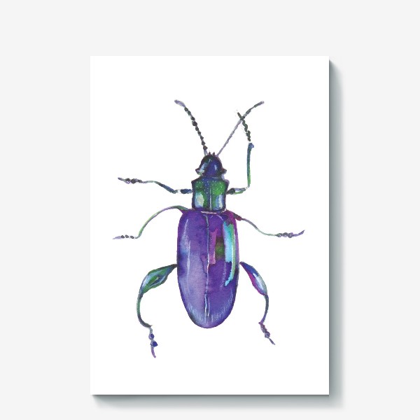 Холст «Фиолетовый жук»