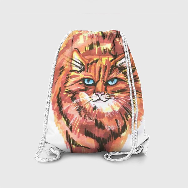 Рюкзак «Рыжий кот»