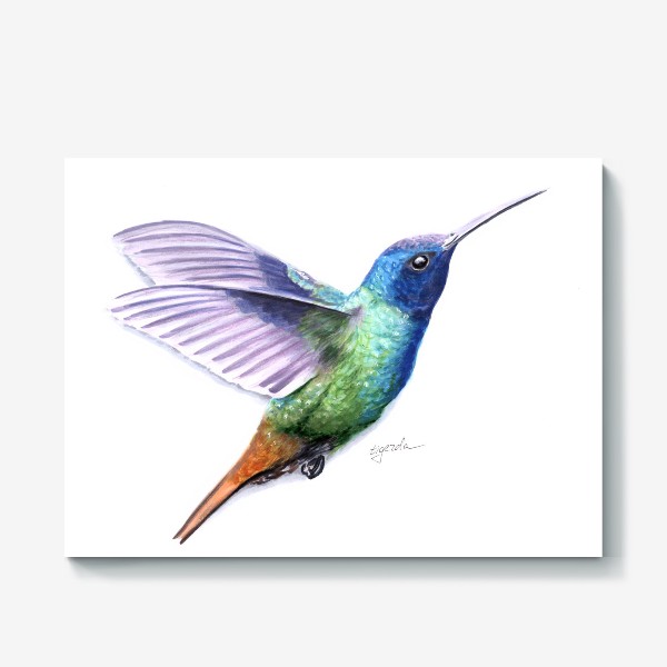 Холст «Птица колибри»