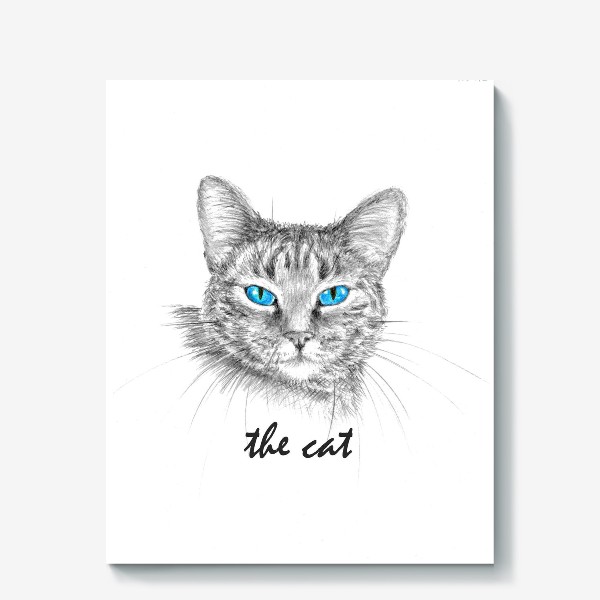 Холст «Кот. Голубые глазки.»