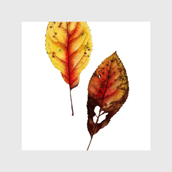 Шторы «Осенние листья»