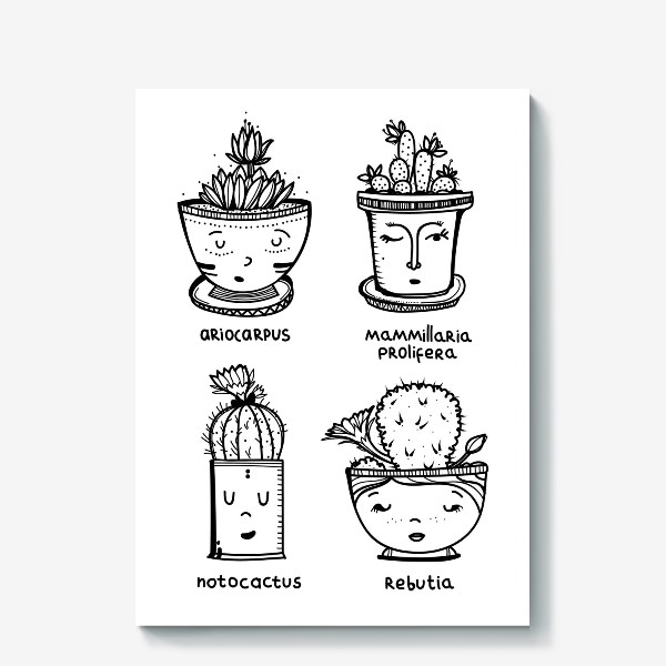 Холст «Виды кактусов в мультяшном стиле»