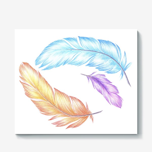 Холст «Разноцветные перья»