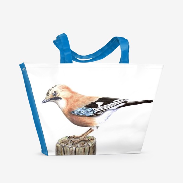 Пляжная сумка «Птица европейская сойка»
